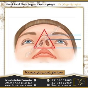 در نگاه از پایین 